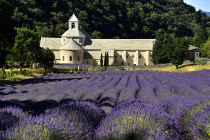 France, Senanque