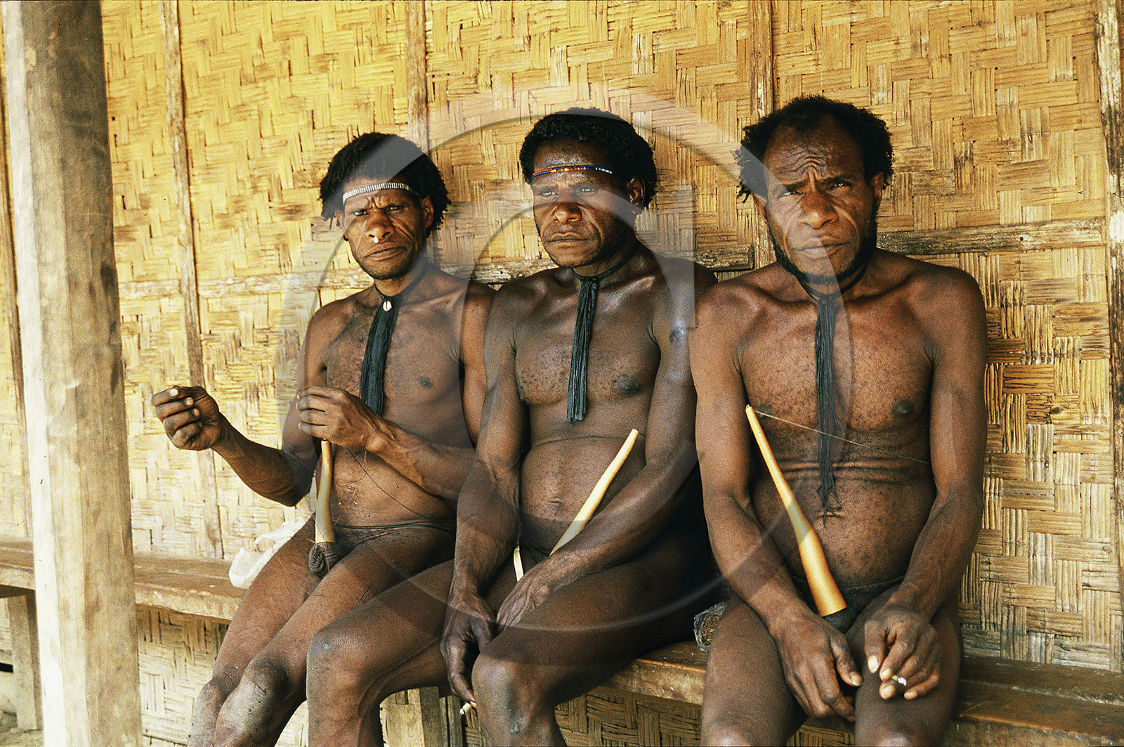 Indonésie, Irian Jaya