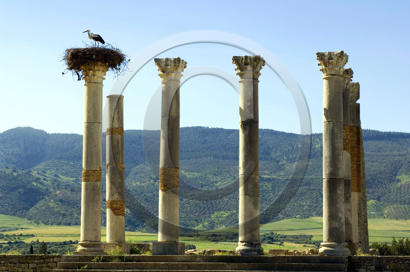 Volubilis, Morokko