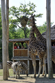 France, Zoo