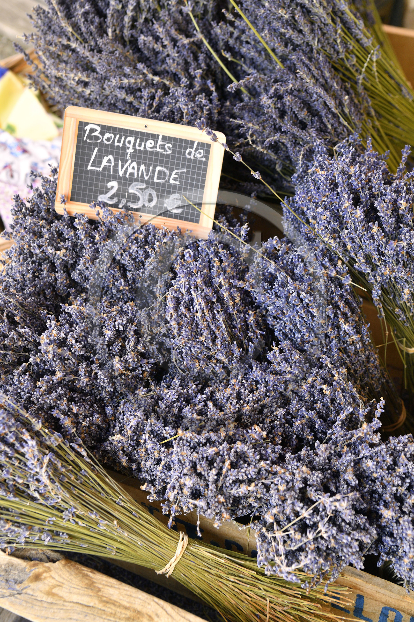France, Mont Ventoux