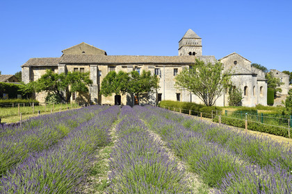 France, Saint Remy de Provence