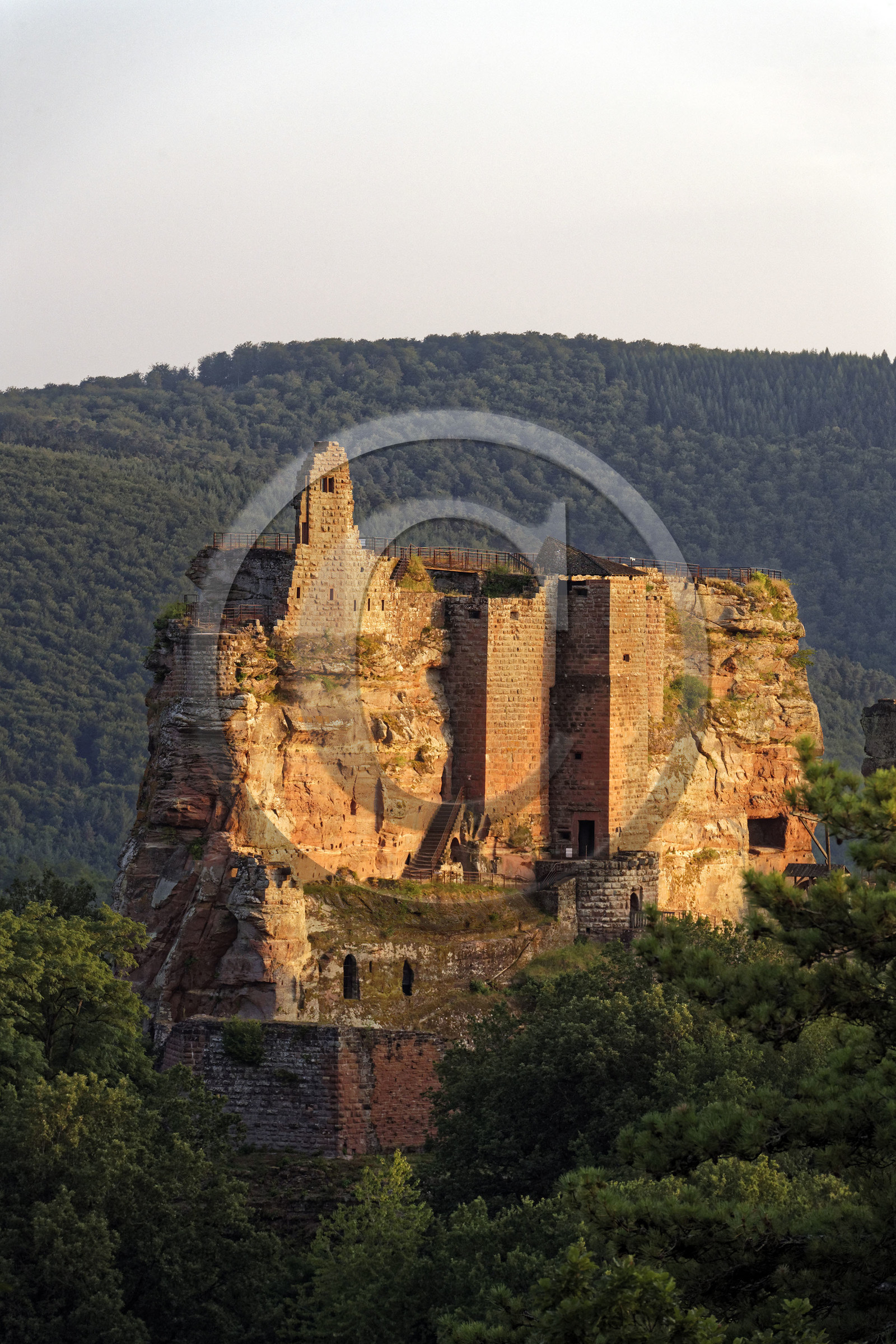 France, Fleckenstein