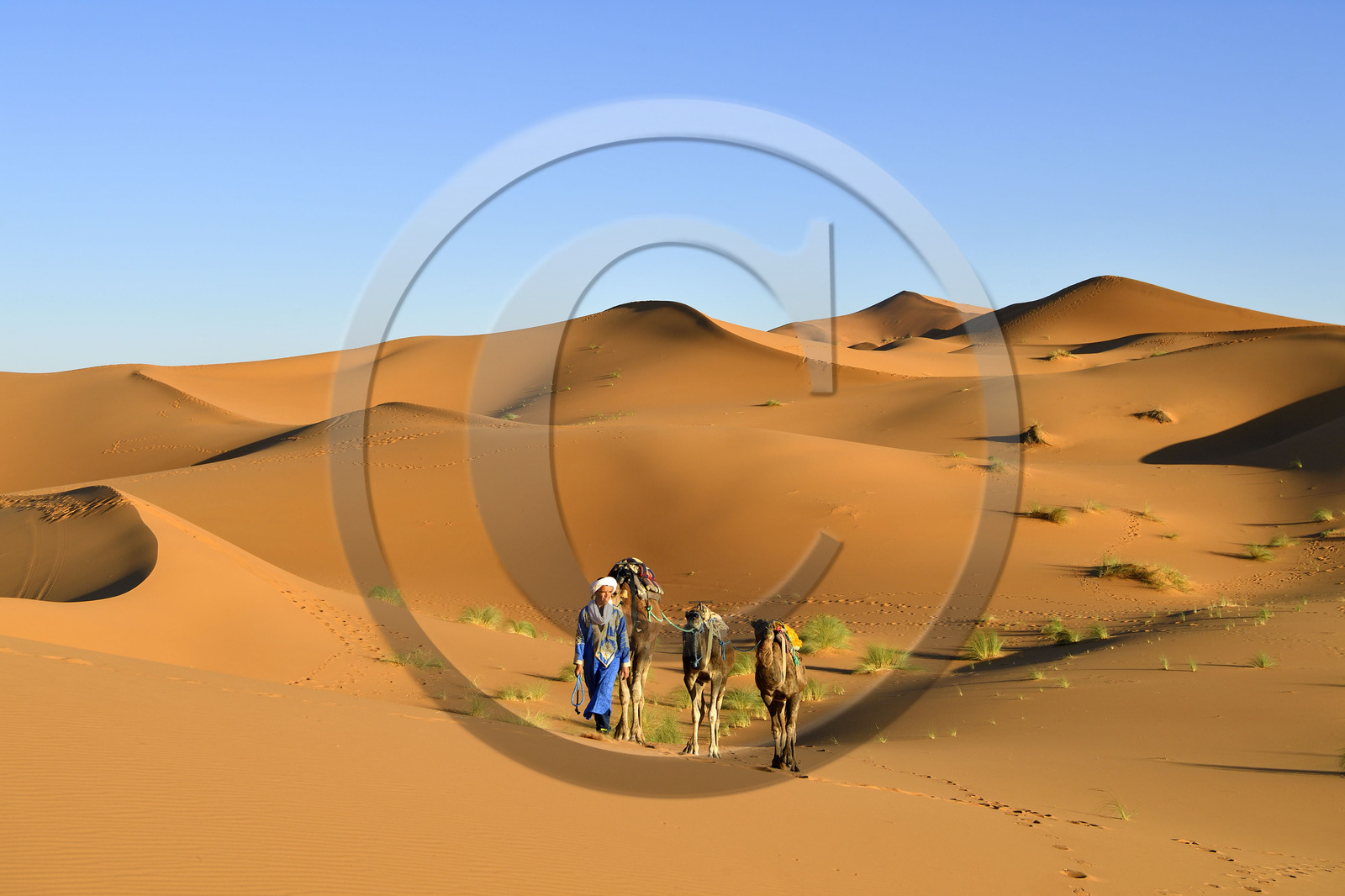 Maroc, Merzouga