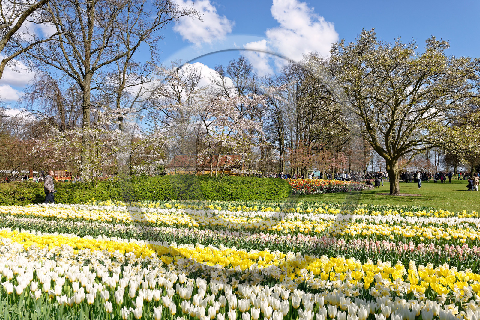 Hollande, Keukenhof