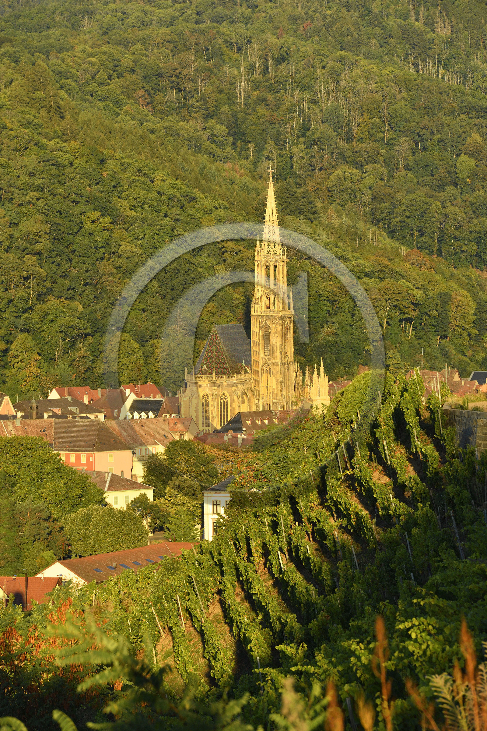 France, Thann