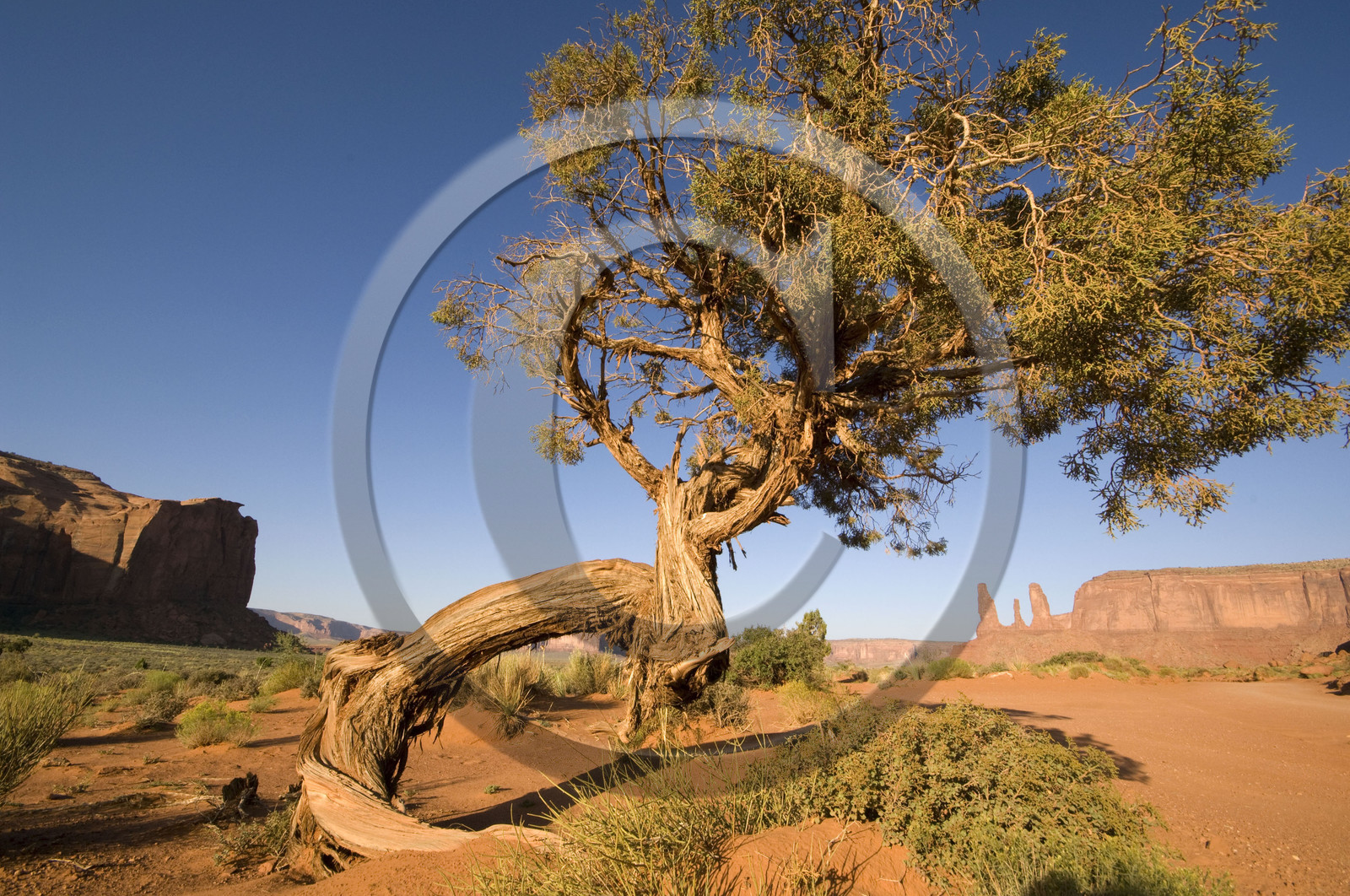 USA, MONUMENT VALLEY