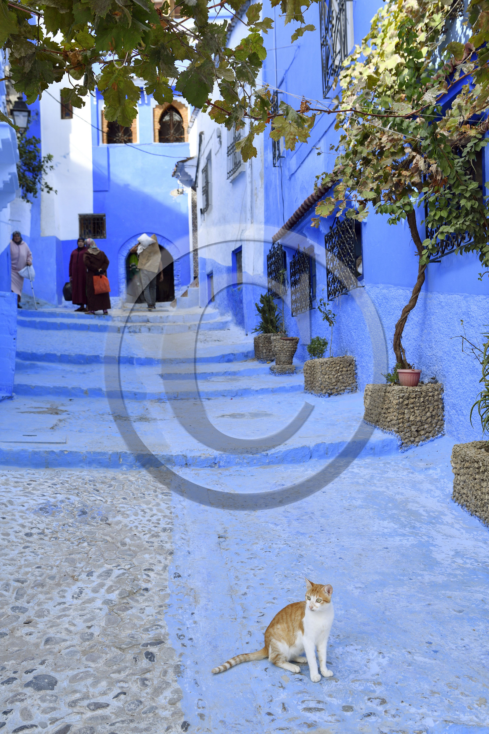 Maroc, Chefchaouen