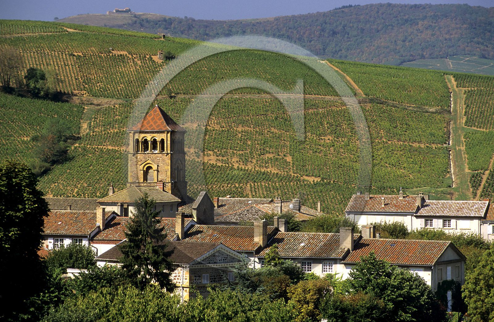 Le Beaujolais, France